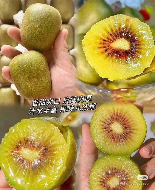 红心/黄心12枚猕猴桃3斤礼盒装（原产地发货） 商品图5