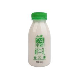 【超市】雪兰塑瓶24小时鲜牛乳250g