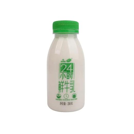 【超市】雪兰塑瓶24小时鲜牛乳250g 商品图0
