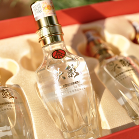 五粮液股份出品·自酒系列款｜52°浓香型白酒，大小瓶组