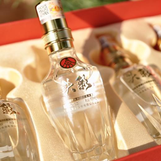 疯抢中！！【五粮液股份出品·白酒系列】52°浓香型白酒 大小瓶组合 100ml*5瓶礼盒装/500ml*6瓶礼袋装 商品图3