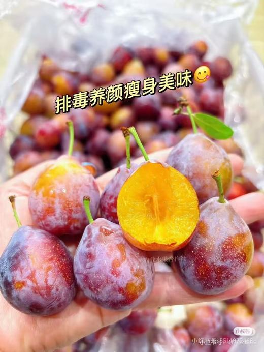 新疆西梅蜜甜多汁4斤礼盒/2斤装 商品图8