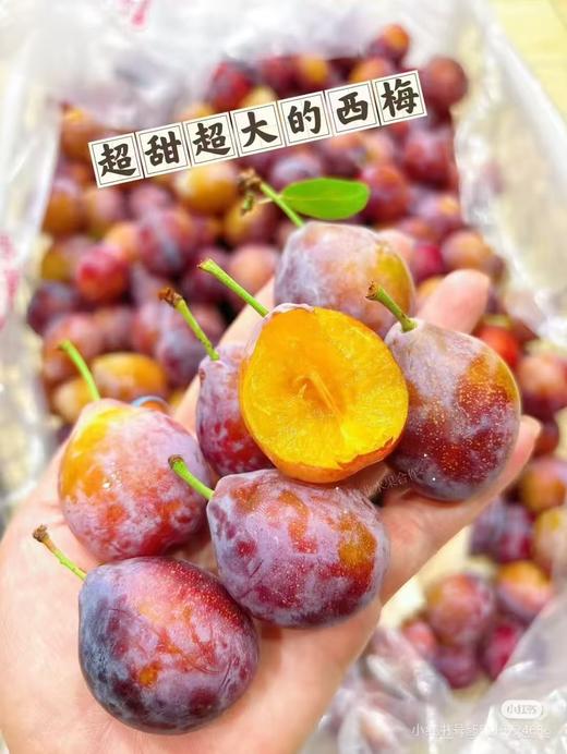新疆西梅蜜甜多汁4斤礼盒/2斤装 商品图7