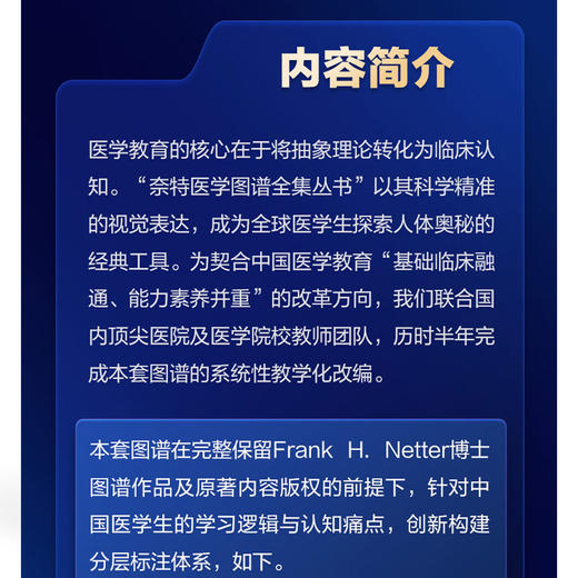 奈特医学图谱全集 呼吸系统(第3版第3卷) 张艳丽 精准的视觉表达 探索人体奥秘的经典工具 9787567925717中国协和医科大学出版社 商品图3