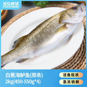 【白蕉海鲈鱼】原条白蕉海鲈鱼2kg/四条装