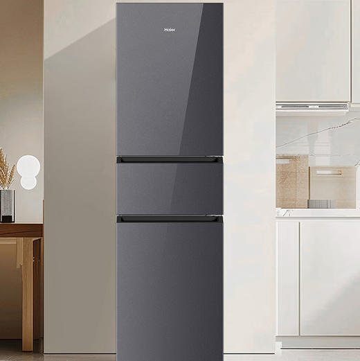 海尔（Haier）冰箱 BCD-218WGHC3E9YS 商品图1