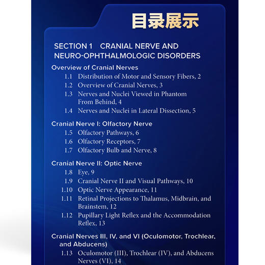 奈特医学图谱全集 神经系统第二分册 脊髓、外周运动与感觉系统(第3版第7卷)朱以诚 主编 9787567925731中国协和医科大学出版社 商品图4