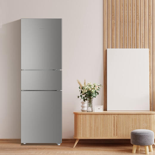 海尔（Haier）冰箱 BCD-217WGHC3E9H9 商品图1