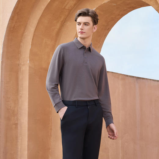 半身缘男装 秋季POLO衫羊毛柔软透气简约时尚百搭253112M03910004 商品图1