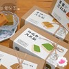 Babycat「四时酥」| 把四季茶香+果香全包进酥饼里了！一口就沦陷 商品缩略图2