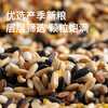 田喜粮鲜有机七色糙米 东北杂粮粗粮糙米燕麦黑米糯米玉米碴 红米荞麦420g /粮油调味 /杂粮 /谷米类 商品缩略图4