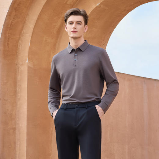 半身缘男装 秋季POLO衫羊毛柔软透气简约时尚百搭253112M03910004 商品图3
