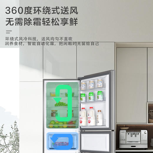 海尔（Haier）冰箱 BCD-217WGHC3E9H9 商品图8