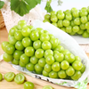 绿提葡萄约0.95~1.05kg/份 商品缩略图1