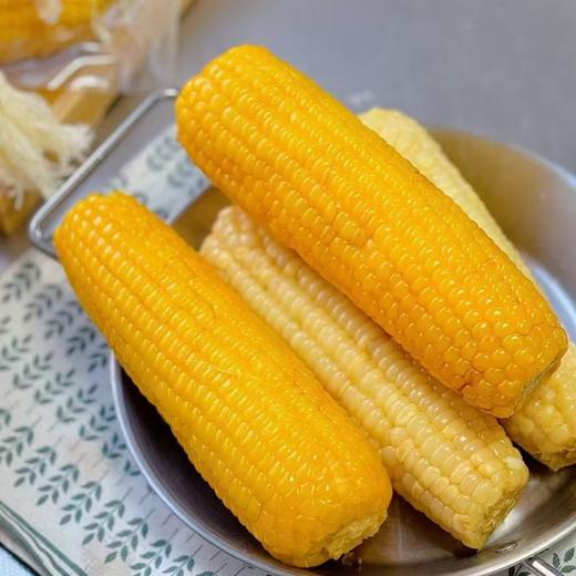 心选丨东北黑土地2025新摘黏玉米 商品图1