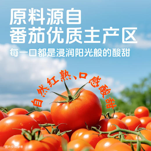 海底捞筷手小厨鲜浓番茄火锅汤料200g 商品图3