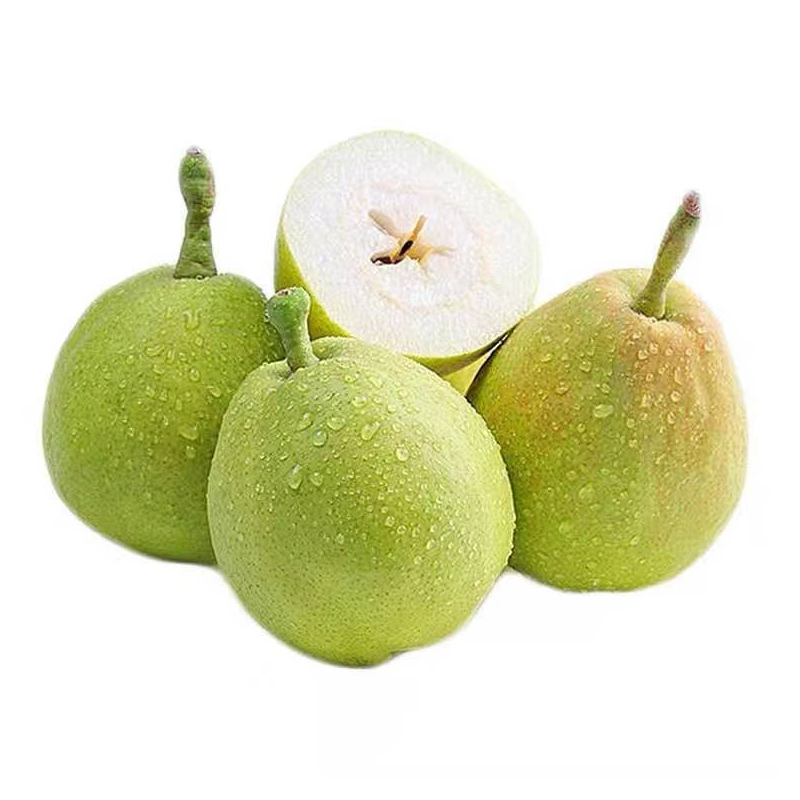 新疆库尔勒香梨约1.85~2kg/份