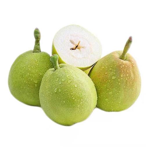新疆库尔勒香梨约1.85~2kg/份 商品图0