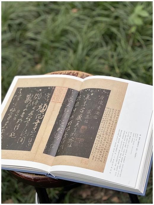 重点推荐！！《师古第一：王铎书画题跋名品精粹》，16开，布面精装，段奇编著，中国文联出版社2025年8月一版一印，316页，定价345元，售价：258元。 商品图11