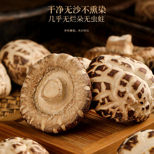 福东海万事胜意四宝（西洋参+红极海参+花菇+鳕鱼胶）-D 180克/盒 特渠专款—rxs 商品图6