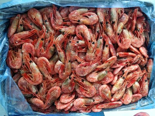 【腹籽】北极甜虾 规格：70-90 捕捞日期：2025年1月 商品图1