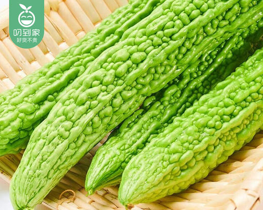 【叼鲜蔬】漳州新鲜苦瓜/1份（1.5kg±100g） 商品图2