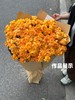 国产多头玫瑰花橙汁阳台10支 商品缩略图4