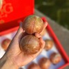 【中秋好礼】石家庄优选仓库速达  新疆杏李.恐龙蛋，玫瑰色的果子，果肉饱满多汁，风味独特， 净重3斤/15枚礼盒 商品缩略图3