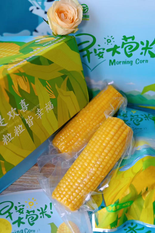 早安大苞米 一箱10根 商品图0