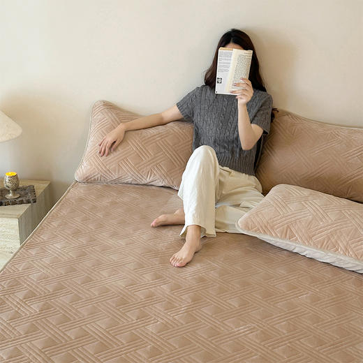 顶柔施罗德蚕丝防螨垫JJ6156 商品图0