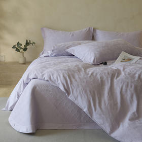 【热卖推荐】自然醒轻奢高支浮雕立体提花床盖款四件套HS