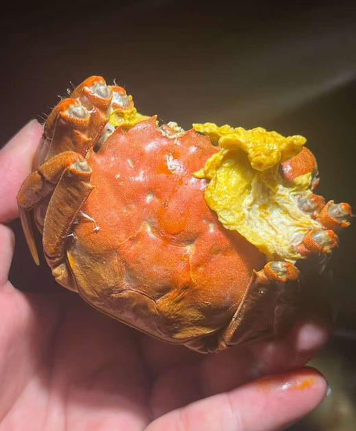 六月黄大闸蟹，公蟹，鲜甜有黄，蒸18分钟以上，1.7-2两/只，4只/组 商品图0