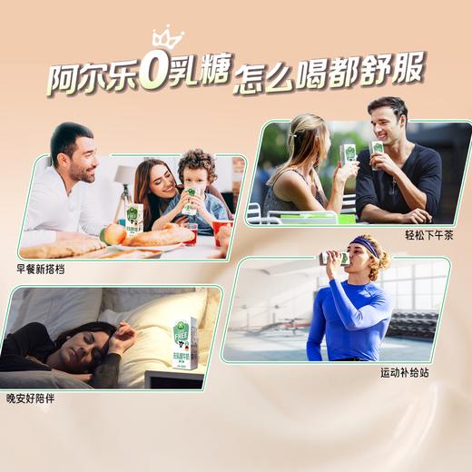 Arla无乳糖全脂牛奶200ml*24盒 商品图2