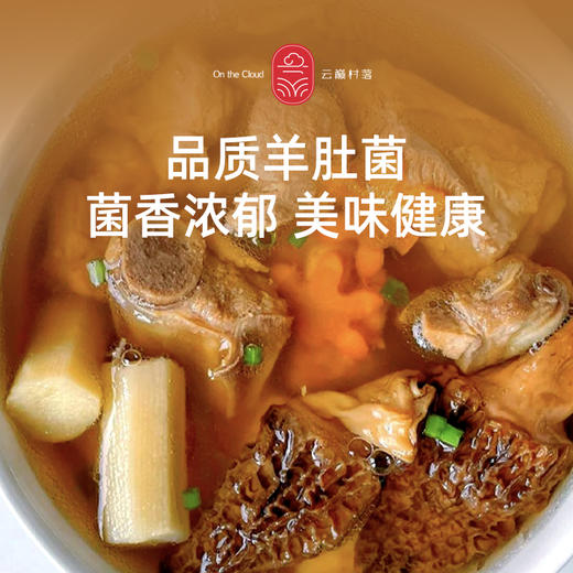 云南羊肚菌 商品图3
