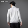 PINLI品立2025秋季新款男士拉链门襟高领条纹提花打底针织衫毛衣GD253110078 商品缩略图4