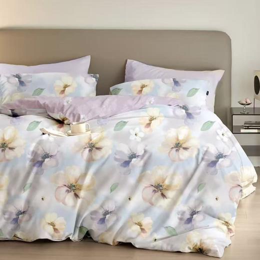 【春上新】10楼 恐龙 全棉四件套（多花型） 200*230cm   吊牌价1380元    活动价299元 商品图0