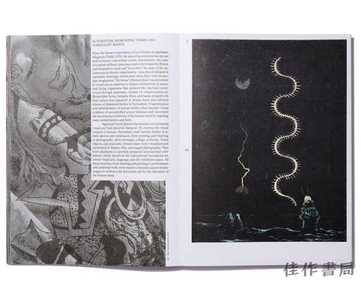 Archive of Dreams: A Surrealist Impulse / 梦之档案：超现实主义的冲动 商品图2