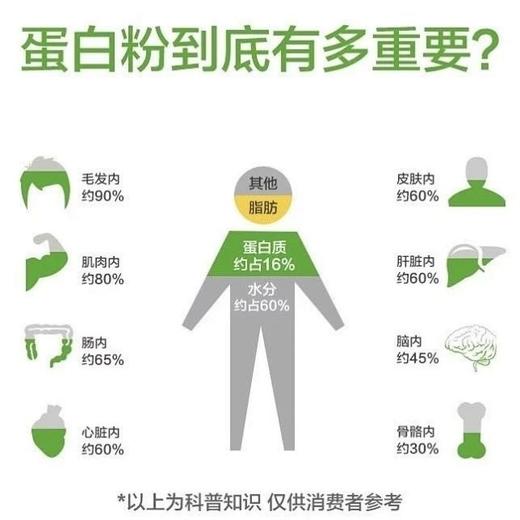 农科院出品 汉麻肽多重营养蛋白粉 随时补充蛋白质 保护骨骼肌抗衰 超级推荐 商品图5