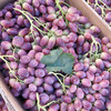 新疆马奶葡萄，被称为沙漠玛瑙，几乎走不出新疆，都在当地晒葡萄干了，它皮超级薄，入口即化，运输成本高，所以内地没有人吃过这个葡萄，咱们独家品尝！3.5-3.8斤/箱 商品缩略图3