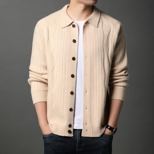 男士春秋季开衫 新款休闲男装翻领百搭针织衫简约潮流毛衣外套 商品图1