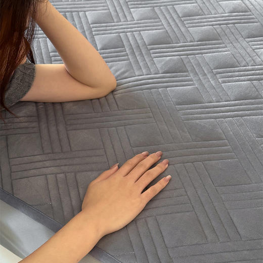 顶柔施罗德蚕丝防螨垫JJ6156 商品图6