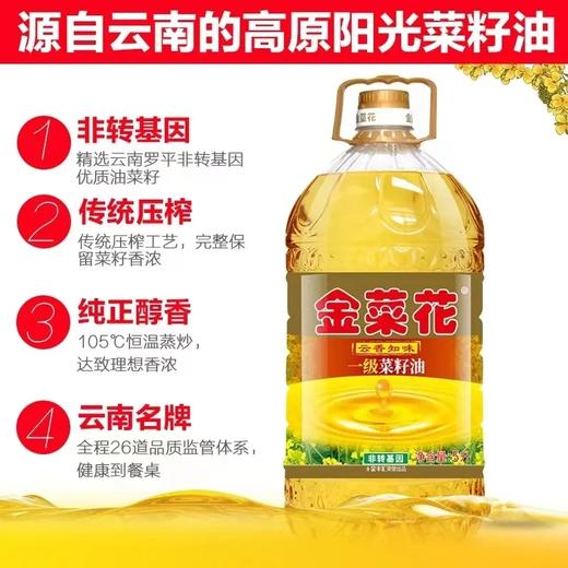 【超市】金菜花云香知味一级菜籽油5L 商品图0