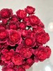 国产精品多头玫瑰花绝色果汁10支 商品缩略图1