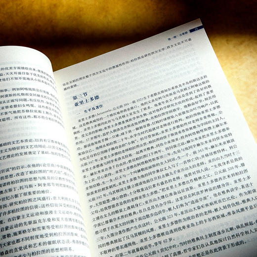 西方文论史 古希腊到当代西方 文学新潮 朱志荣 商品图8