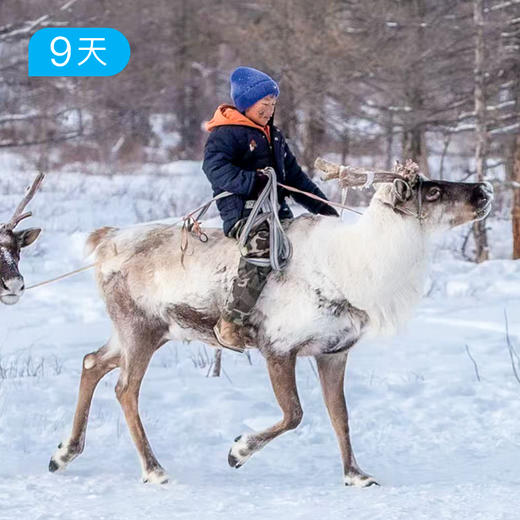冰雪奇遇记·蒙古 商品图0