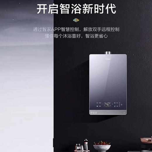 海尔（Haier）热水器 JSQ31-16FPD6FPRGU1 商品图8