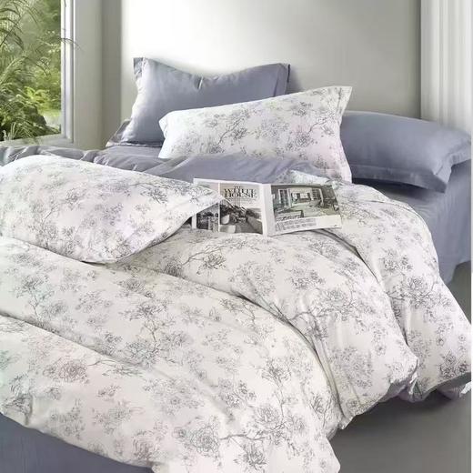 【春上新】10楼 恐龙 全棉四件套（多花型） 200*230cm   吊牌价1380元    活动价299元 商品图1