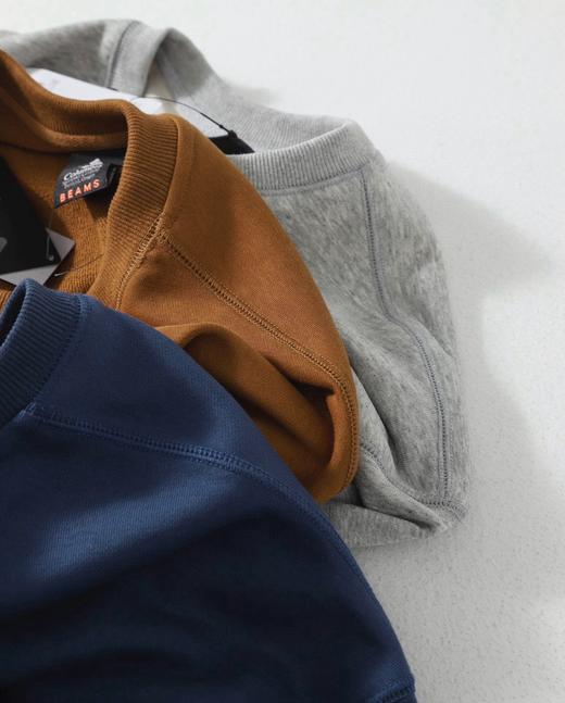 COLUMBIA×BEAMS动物系列卫衣 定染380克重磅毛圈面料 商品图6