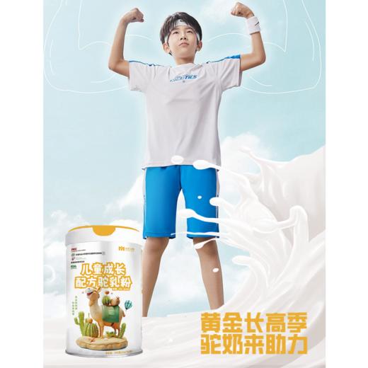 亩育万物 儿童成长配方驼乳粉300g（15g*20条）/罐 商品图2