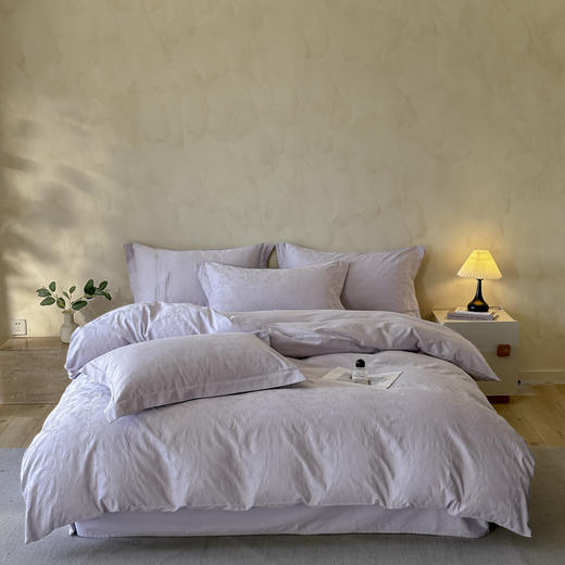 【热卖推荐】自然醒轻奢高支浮雕立体提花床盖款四件套HS 商品图1